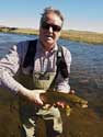 brown trout dry fly